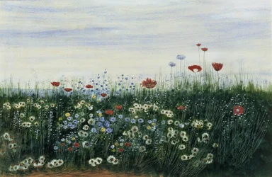 Mohnblumen, Gänseblümchen und andere Blumen am Meer